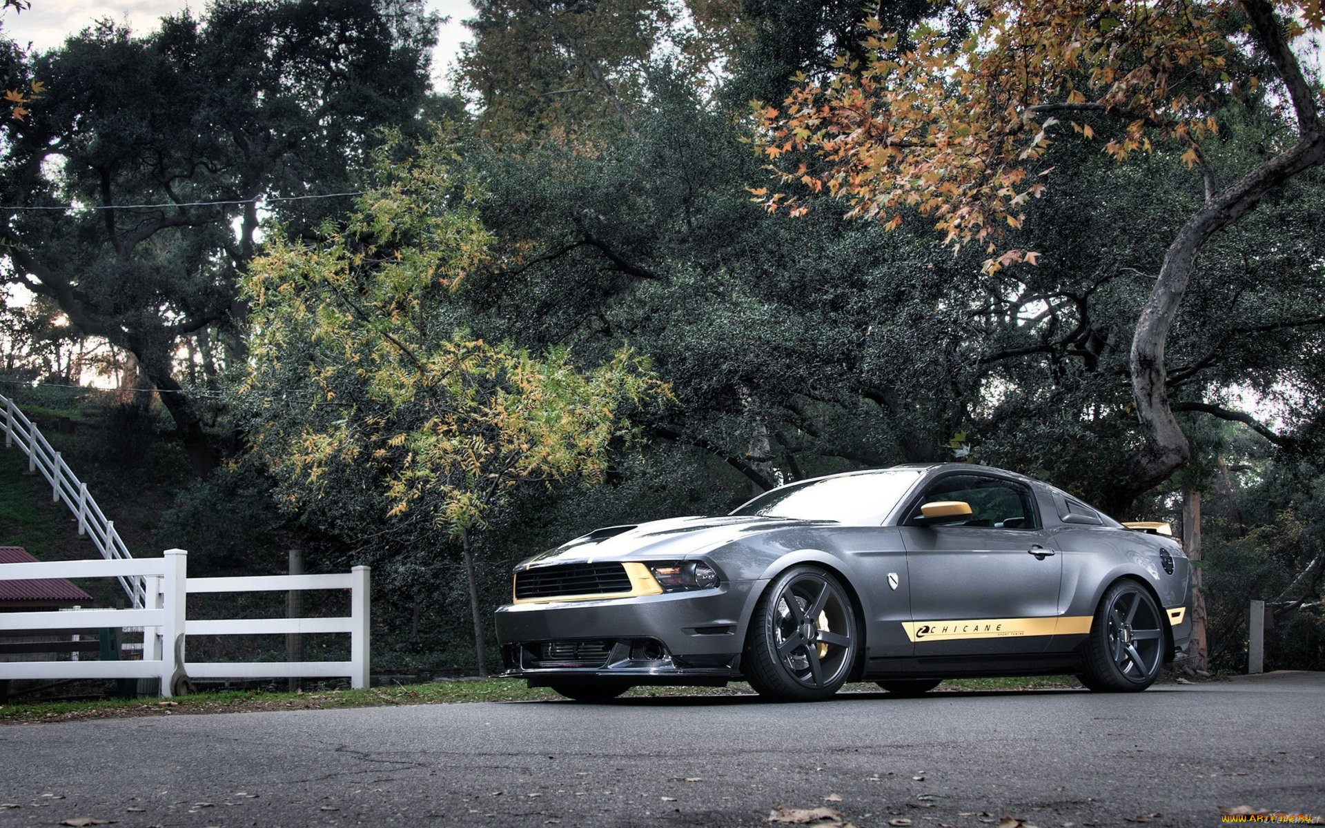 ford, mustang, chicane, edition, , , , 